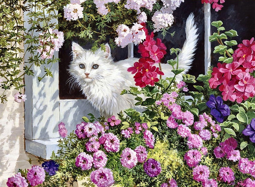 Fluffy White Kitten - Cat F, kedi yavrusu, hayvan, sanat, kediler, kedigiller, güzel, sanat eserleri, geniş ekran, , evcil hayvanlar, çiçekler HD duvar kağıdı