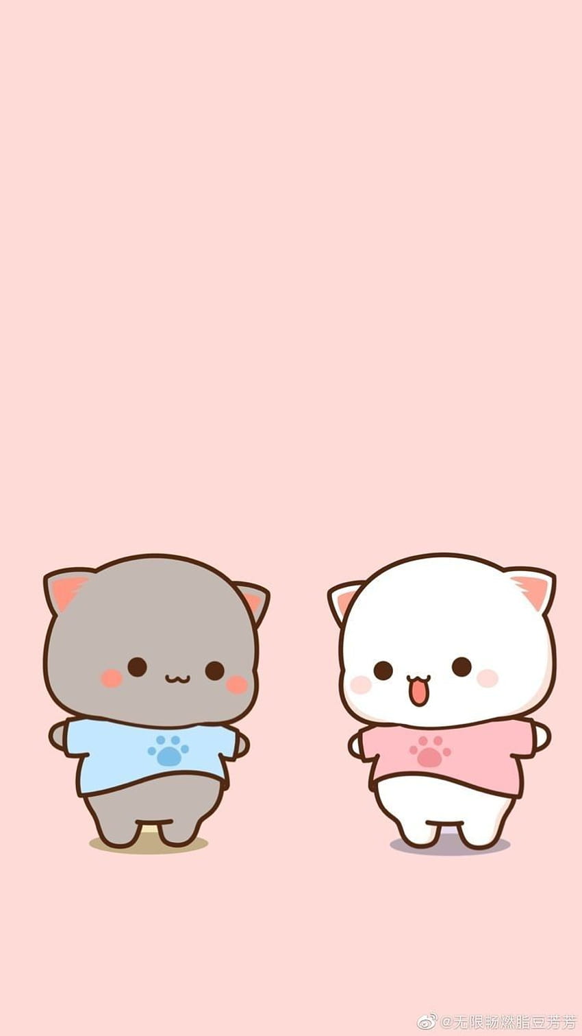 Download Outfit of the Day - Kawaii Anime Cat Wallpaper | Wallpapers.com