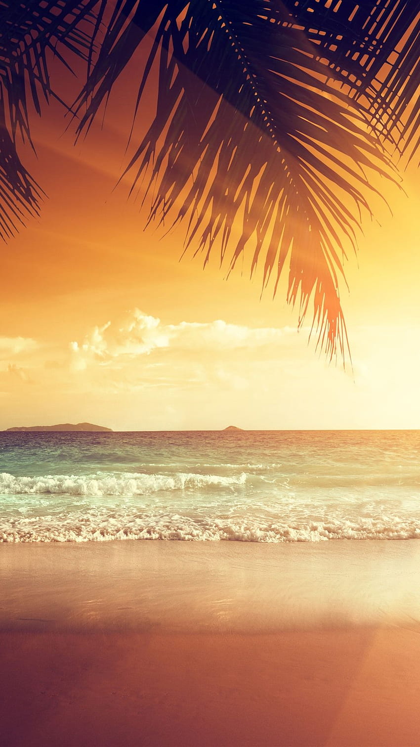 Hermosa puesta de sol, hojas de palmera, playa, mar, tropical, verano IPhone 11 Pro XS Max fondo de pantalla del teléfono