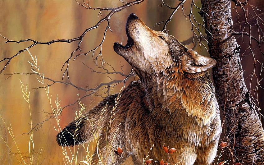 Pin van Lazar Cirkovic sui lupi. Huilende lupo, Wolf tekening, Dieren, Autumn Wolf Sfondo HD