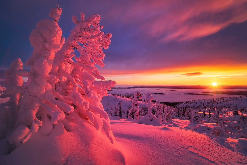 พระอาทิตย์ตกสีชมพู พระอาทิตย์ตก หิมะ ฤดูหนาว สีชมพู น้ำค้างแข็ง ท้องฟ้า สวยงาม วอลล์เปเปอร์ HD