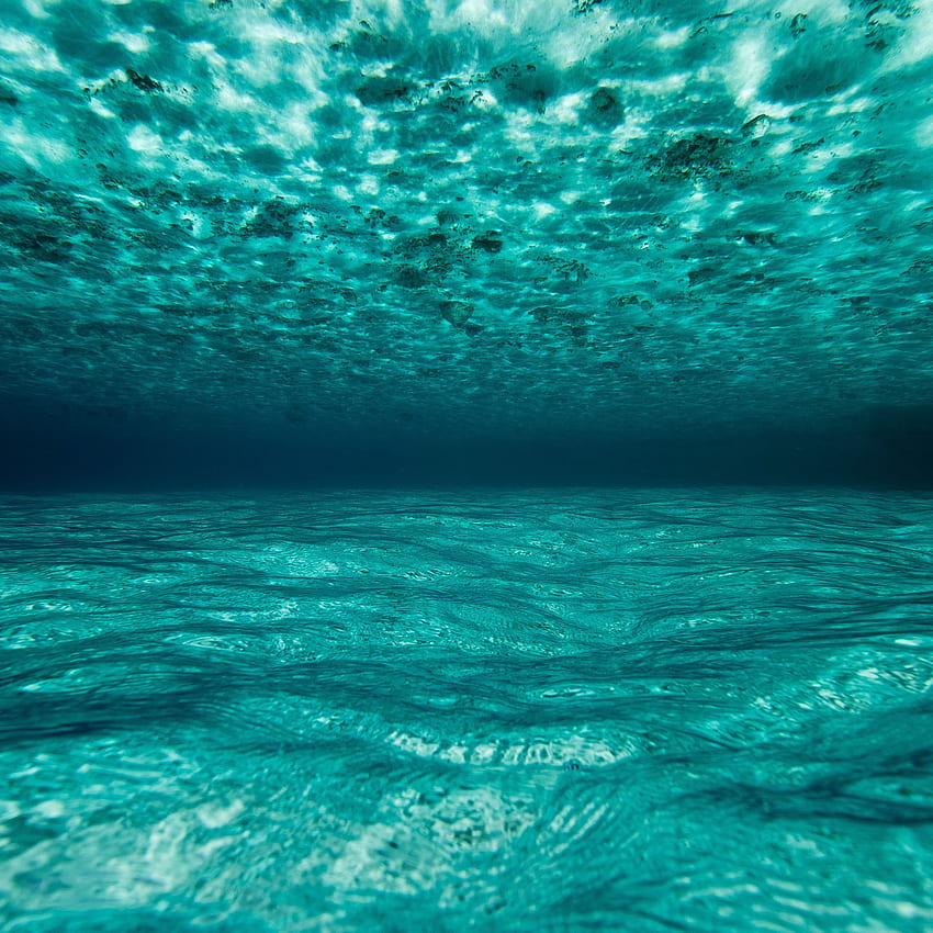 ocean, woda, podwodny, Malediwy, Funny Underwater Tapeta na telefon HD