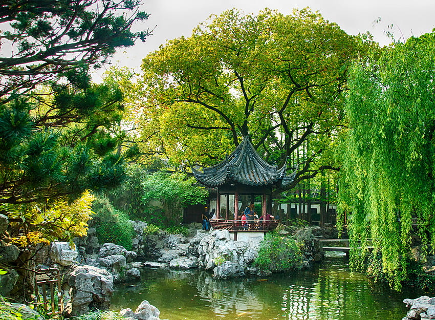 Nature, Trees, Park, Pond, China, Shanghai HD wallpaper