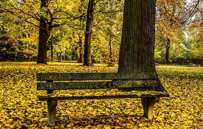 Page 3 | autumn bench HD wallpapers | Pxfuel