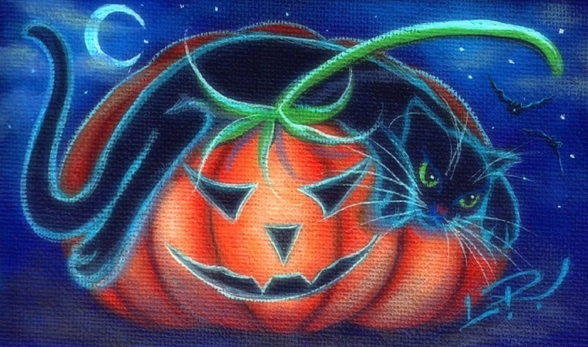 Jack-O-Cat, черна котка, котки, цветове, картини, любов четири сезона, Хелоуин, празник, животни, тиква, прилепи, луни HD тапет