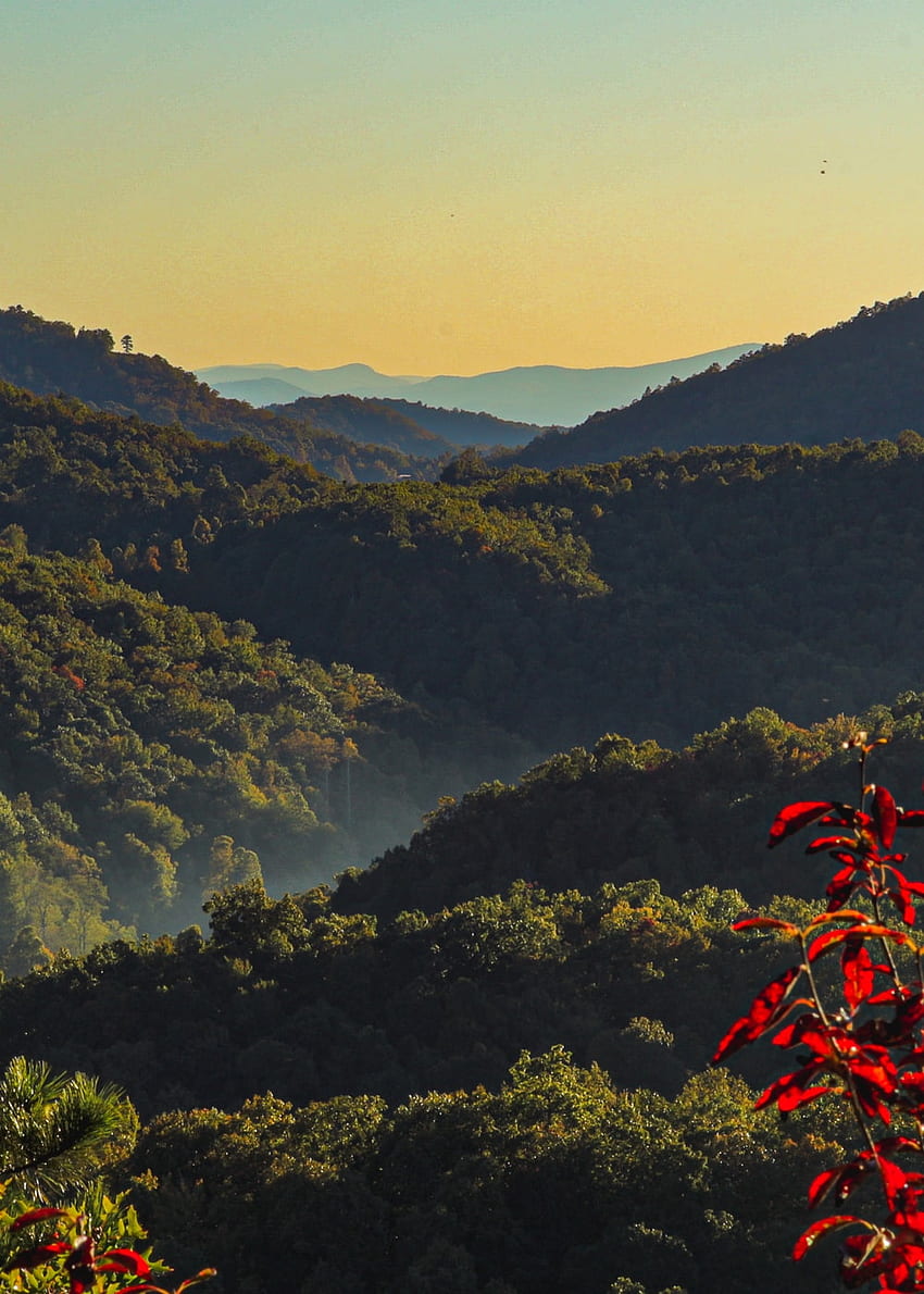 Asheville Nc HD phone wallpaper | Pxfuel