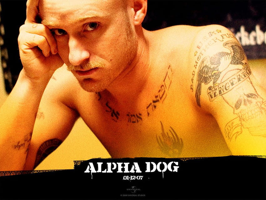 Ben Foster - Ben Foster in Alpha Dog 11 HD wallpaper
