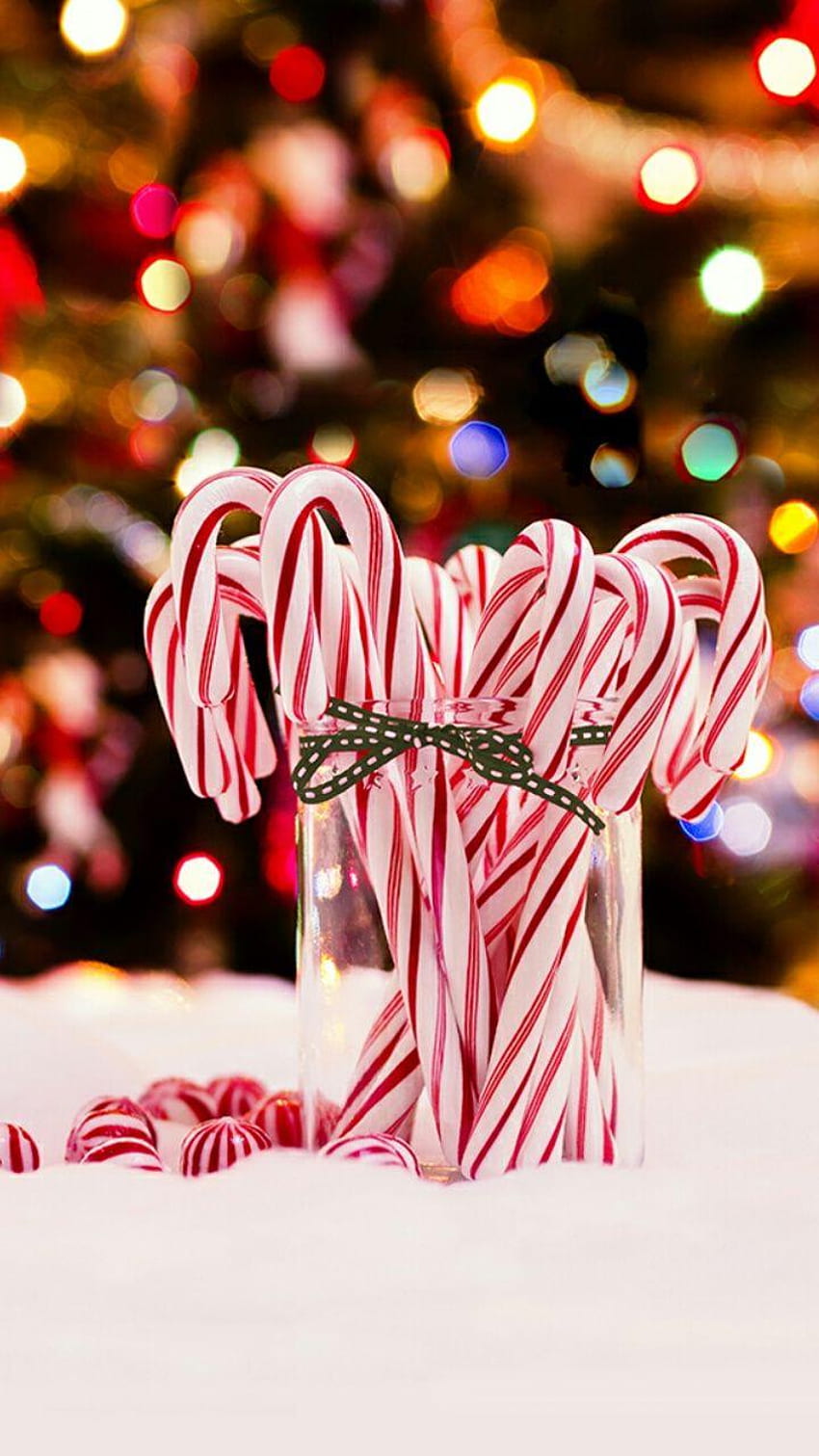 Christmas Candy Canes HD phone wallpaper | Pxfuel