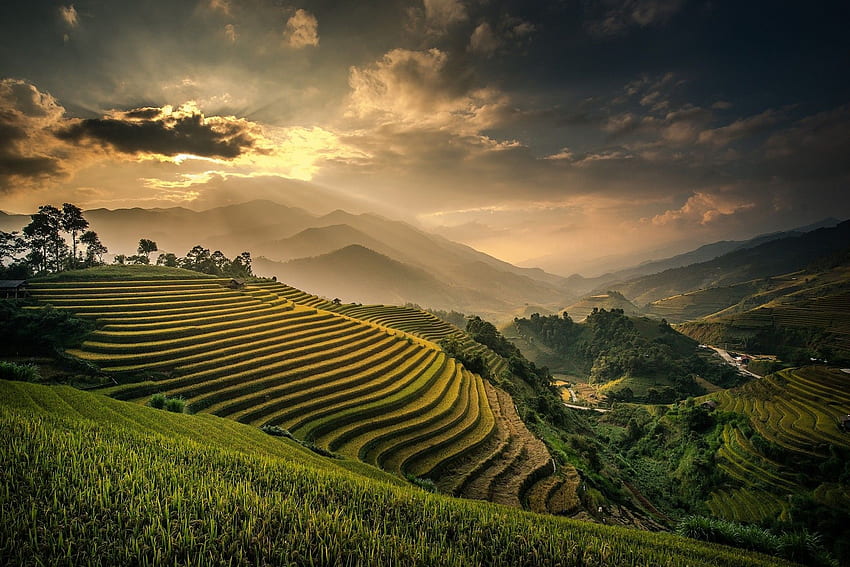 Nature Landscape Field Terraces Mountains Mist Sunset Valley Clouds Sky Bali Indonesia Rice Paddy - Resolution: HD wallpaper