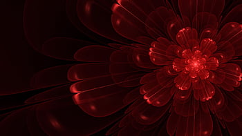 Red Abstract Flower Vectors Upload Cache Resolution : Filesize : kB ...