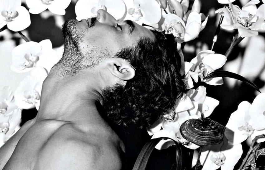 David Gandy, white, black, model, man, flower, orchid, male HD wallpaper