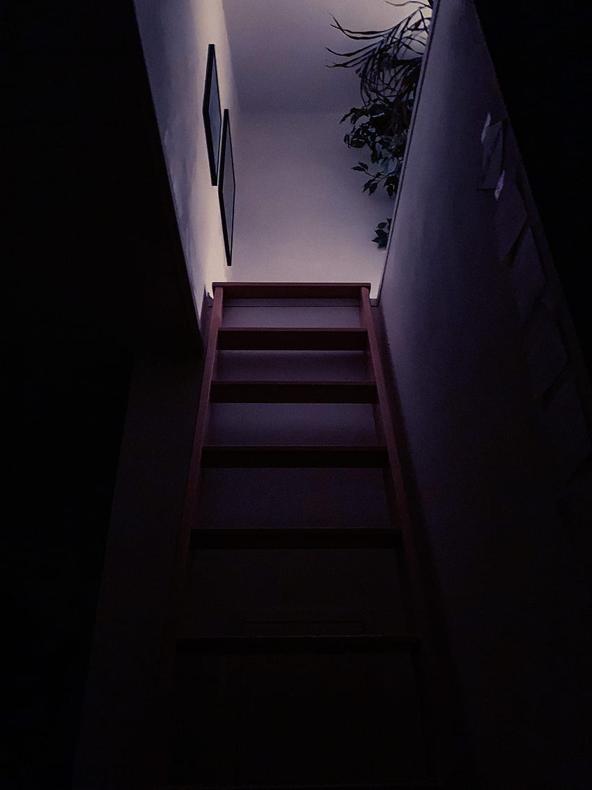 Тъмно, стълба, стълби, стая, стъпала HD тапет за телефон