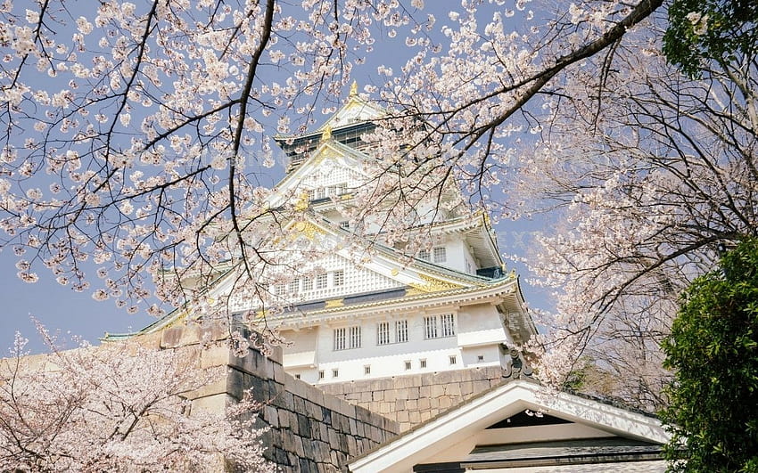 kastil osaka pemandangan sakura jepang cherry, musim dingin osaka Wallpaper HD