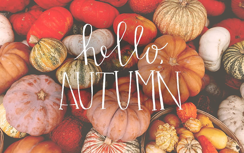 Herbstszene mit Kürbissen - at, Aesthetic Pumpkin HD-Hintergrundbild