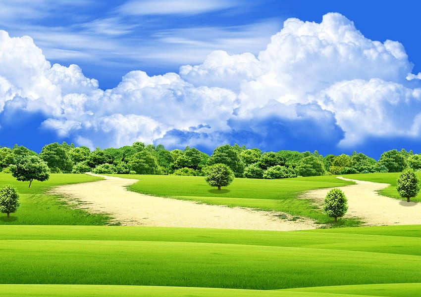 自然の美しさ、草、空、自然、緑 高画質の壁紙