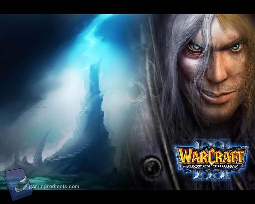 Resolución de píxeles de Warcraft 3 Frozen Throne, Warcraft III: The Frozen Throne fondo de pantalla