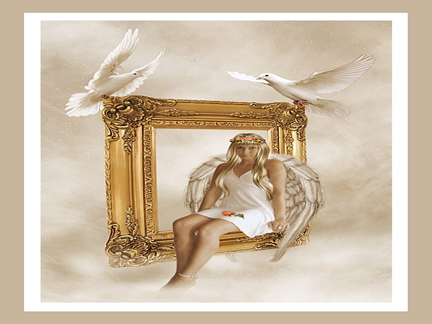 Heaven, white, dove, frame, peace, angel HD wallpaper