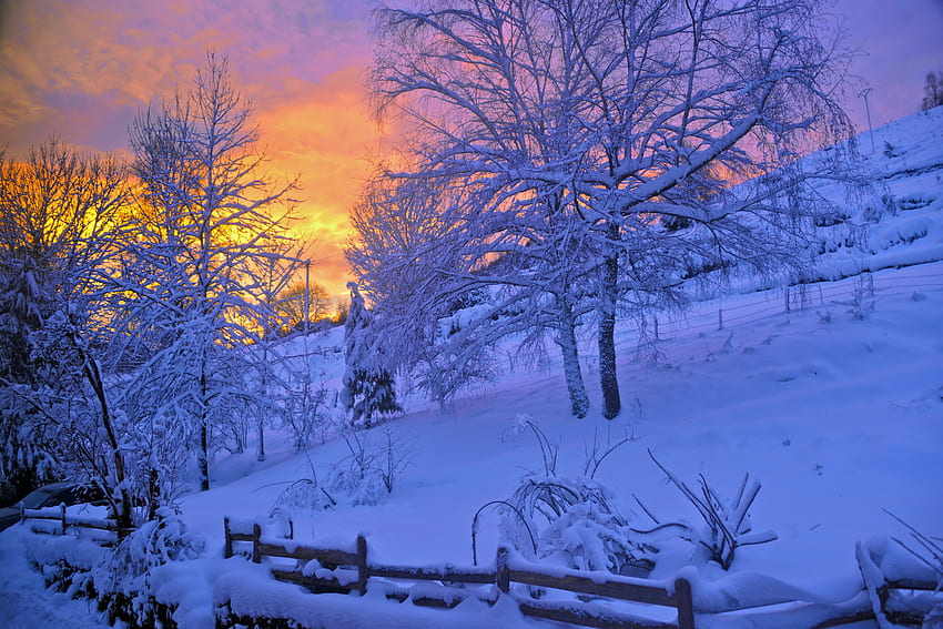 Winter at sunset, winter, white, cold, snow, fence, trees, , warm, sunset HD wallpaper