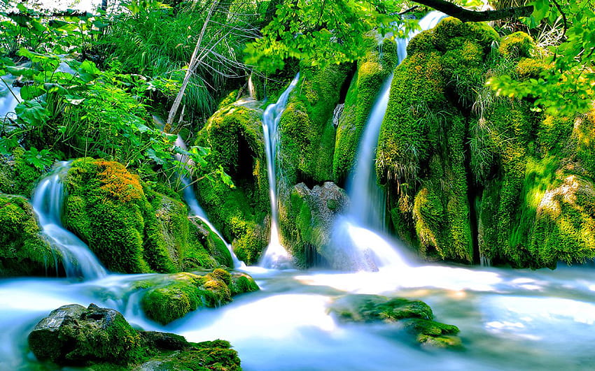 Parc National des Lacs de Plitvice en Croatie Pierres Cascade Végétation Mousse Verte Fond d'écran HD