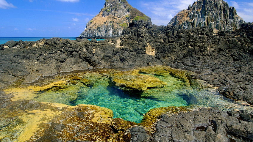 bassin de marée à pernambuco brésil, rive, piscine, marée, rochers Fond d'écran HD