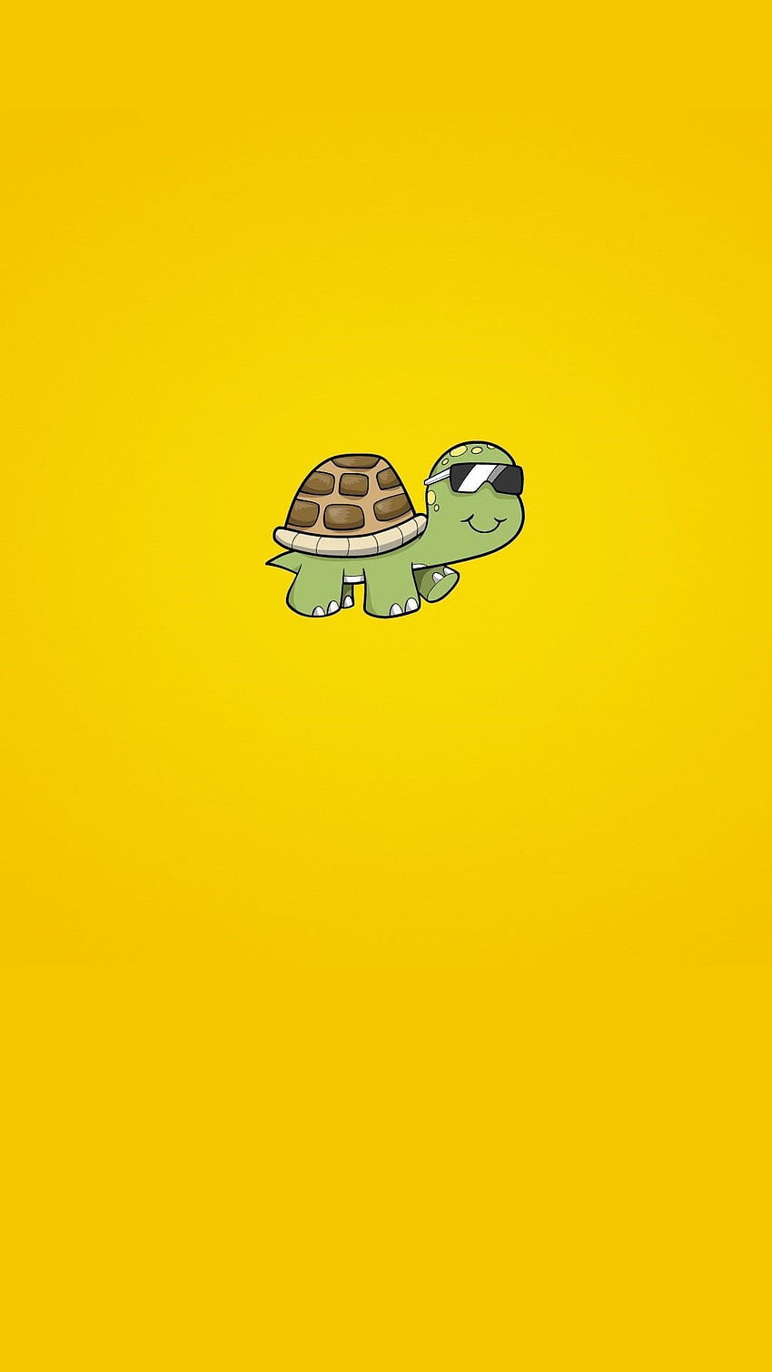Süße Schildkröte - Süße Schildkröte. Wir wissen, wie es geht, lustige Schildkröte HD-Handy-Hintergrundbild