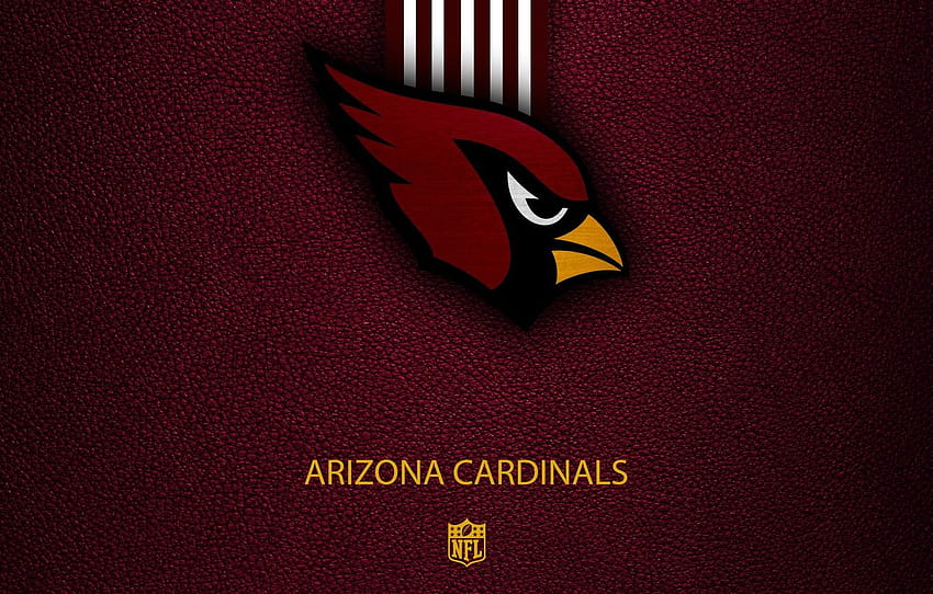 Arizona Cardinals Wallpaper by Jdot2daP on DeviantArt