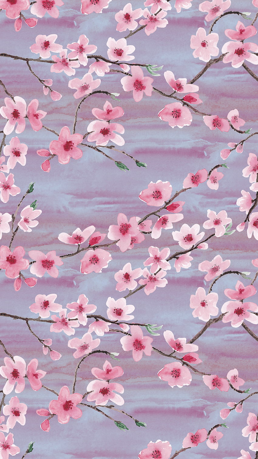 Cherry blossom smart phone . Cherry blossom , Cherry blossom iphone, Floral iphone, Aesthetic Cherry Blossom HD phone wallpaper