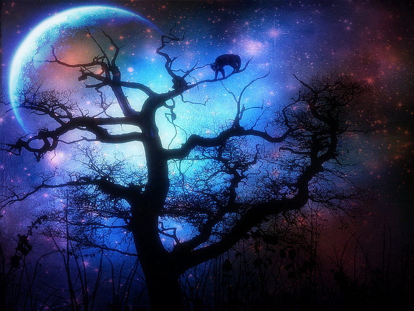 Silent Night, night, plants, silent, digital art, quiet, scenery, animals, trees, moons, forests, backgrounds, creative pre-made, love four seasons, landscapes, manipulation, branches, nature, sky HD wallpaper