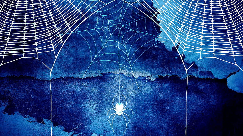 Halloween Spider Web Background 34782 HD wallpaper
