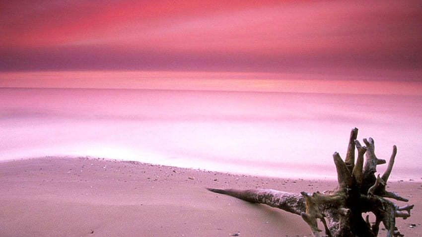 Pink, Beach, Sea , Sand, Ocean, Sky, Fresh Air HD wallpaper