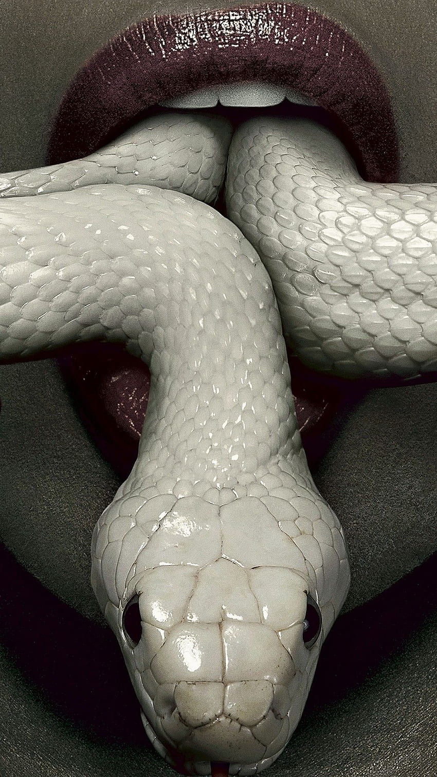 iPhone 7 Plus Snake — Amerykański horror Coven Snake Tapeta na telefon HD