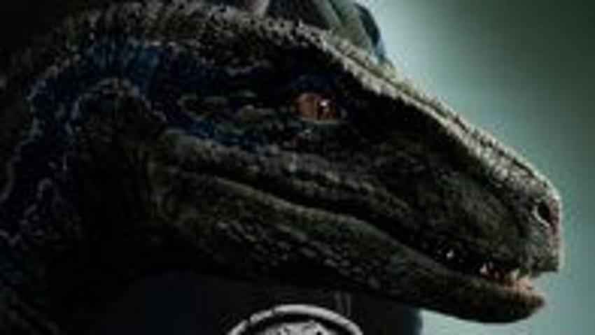 Jurassic World: Fallen Kingdom , Jurassic Park Velociraptor Wallpaper HD