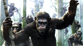 Donkeys, planet of the apes colonel j wesley mccullough HD wallpaper ...