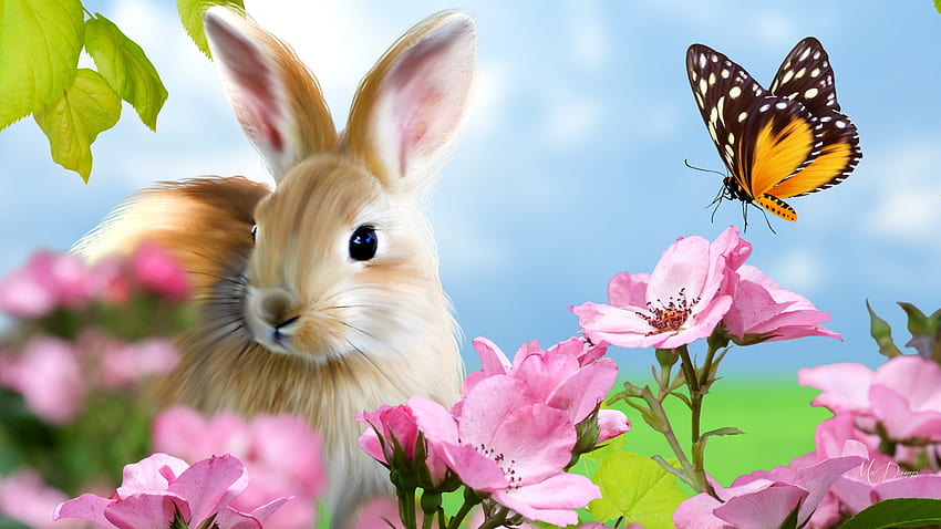 Spring time Bunny, bunny, Firefox theme, blossoms, easter, flowers, blooms, spring, rabbit HD wallpaper