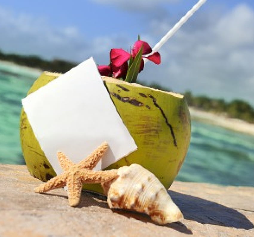 Summer Vacation, summer, tropical, drink, vacation, beach HD wallpaper
