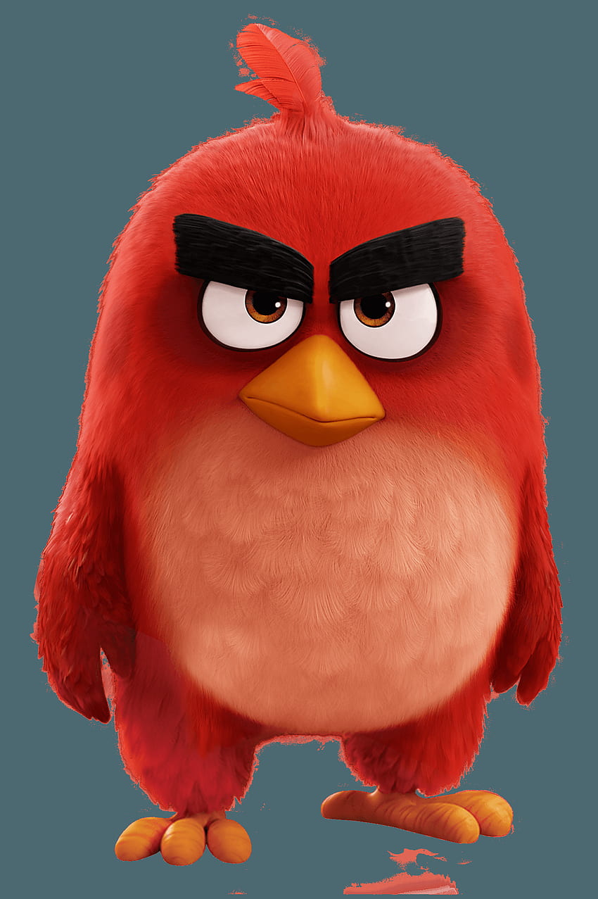 Angry Birds Movie Red Art - , Angry Birds Movie Red Art Фон върху прилеп, Angry Birds Red HD тапет за телефон