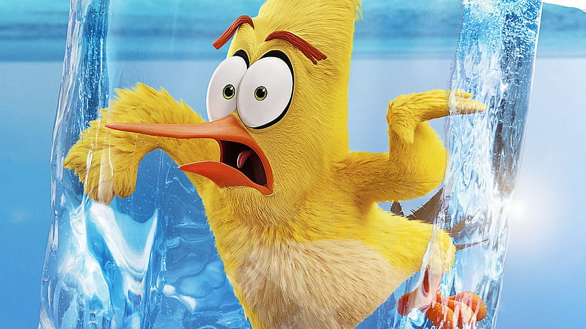 Buz Çizgi Filmindeki Sarı Kuş Angry Birds Sinema 2'de ve - HD duvar kağıdı
