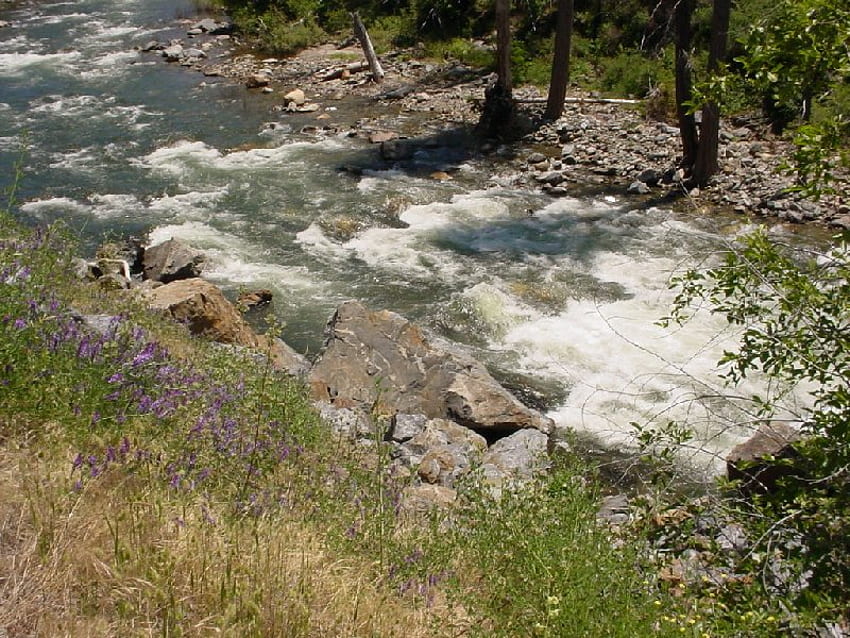 shoal rapids, nature, rivers, pristine, mountain HD wallpaper