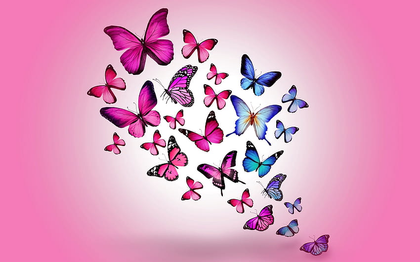 Schmetterlingskunst 2 Macbook Pro Retina, Schmetterlingsmalerei HD-Hintergrundbild