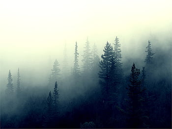 Into the Mist Fine Art Photograph by Peter Lik