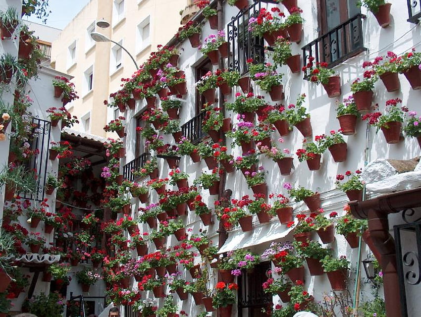 flowers, patio, cordoba, andalucia, pots HD wallpaper