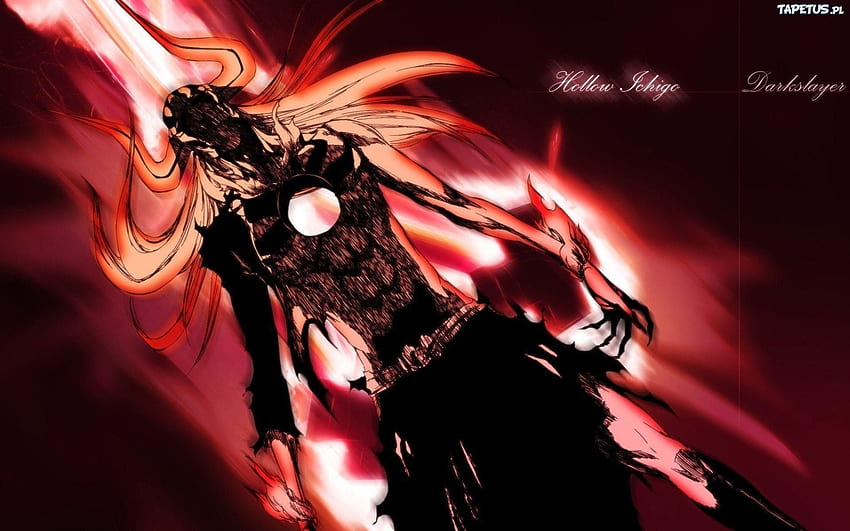 Vasto Lorde Ichigo - Bleach & Anime Background Wallpapers on Desktop Nexus  (Image 954614)