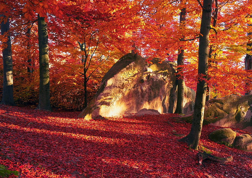 Autumn, Red Leaves, Trees, Rocks, Foliage, Rock HD wallpaper