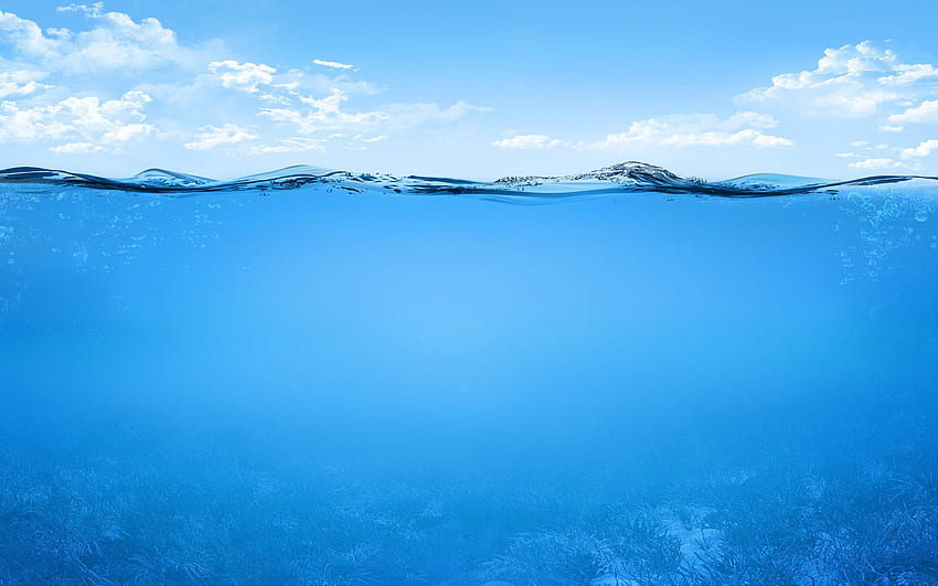 Podwodny ocean, połowa pod wodą Tapeta HD