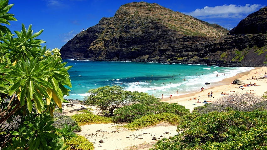 Hawaii's Big Island Travel Guide Must See Attractions. KTC Hawaiian Kapo Trading Company, Hilo Hawaii HD wallpaper