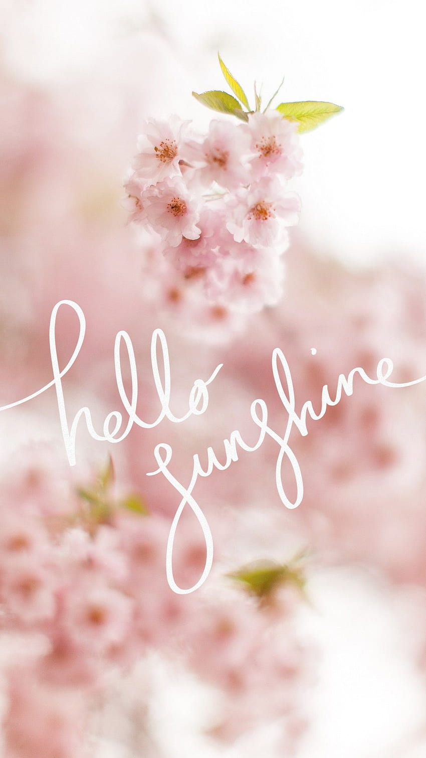 Cute Spring For Android - Best Android, Cute Spring Nature HD phone wallpaper