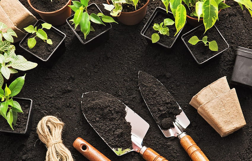 plantas, ferramentas, jardinagem, faíscas, solo para, seção разное, jardineiro papel de parede HD
