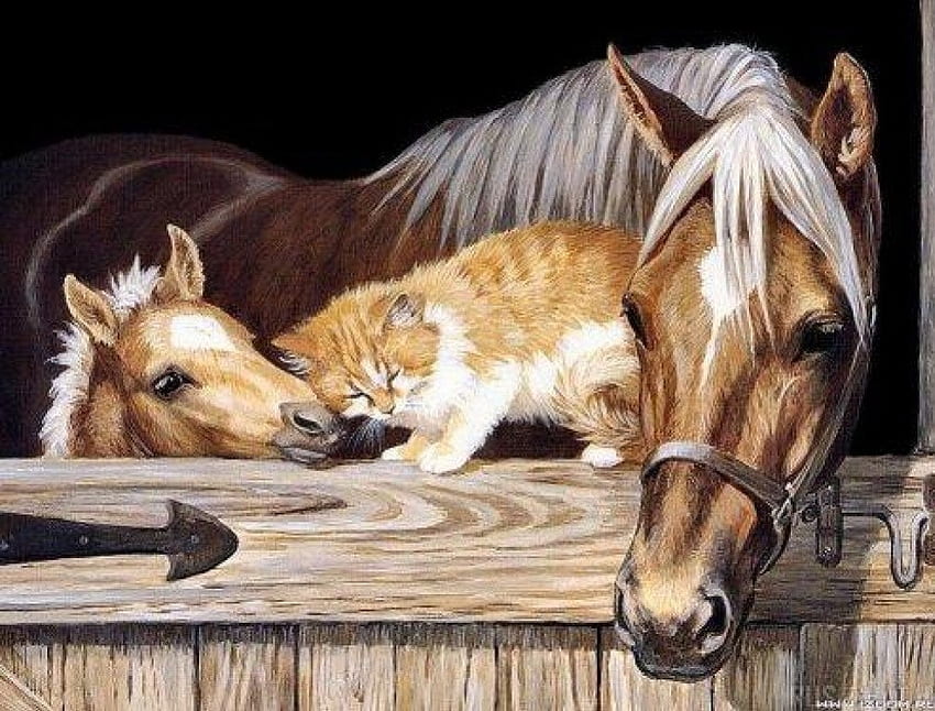 ✿Mommy, we are friends✿, kitten, gentle, cats, mommy, small, precious, horses, animals, guest, friends, together, sweet, beautiful, little, tender, stable, family, love, baby horse, friendship, lovely, tiny, forever HD wallpaper