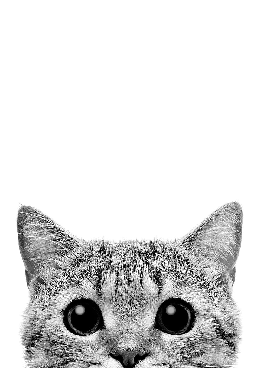 Kitty peeks PRINTABLE Poster en blanco y negro minimalista moderno Print, Home Decor escandinavo Print, Digital. Patrón de gato, gato, gato lindo, arte de gato blanco y negro fondo de pantalla del teléfono