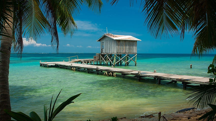 natura, paesaggio, spiaggia, tropicale, mare, palme, bacino, superficie in legno, cabina, turchese, acqua, Belize / e mobile Sfondo HD